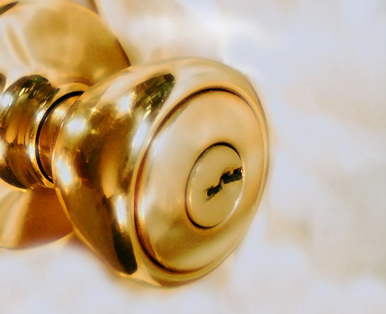 Close-up of residential door knob and lock